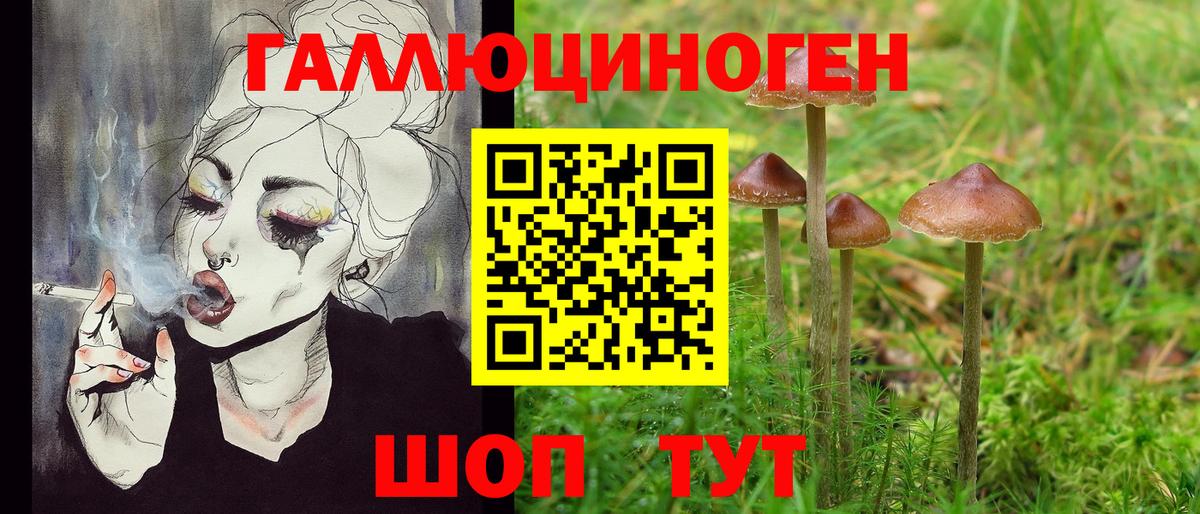 Тихвин  Псилоцибиновые грибы Magic Shrooms  Вход с VPN 
